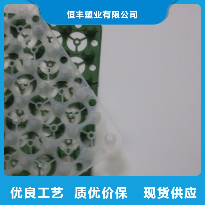排水板,塑料土工滤网工厂自营