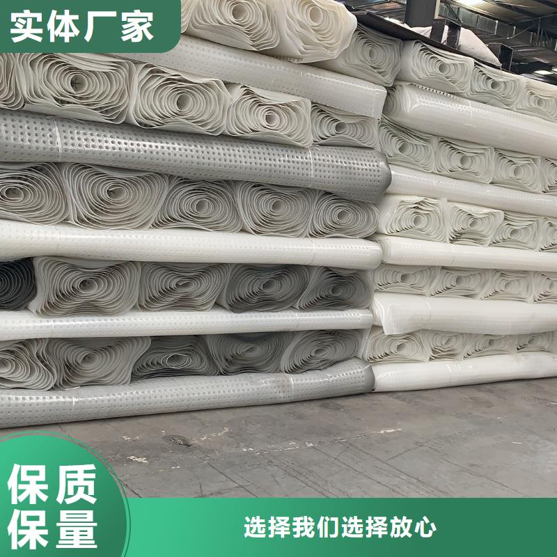 排水板,塑料土工滤网工厂自营