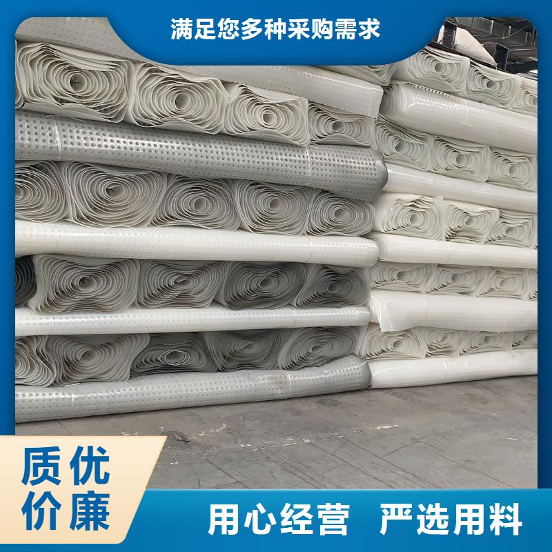 排水板,塑料土工滤网工厂自营