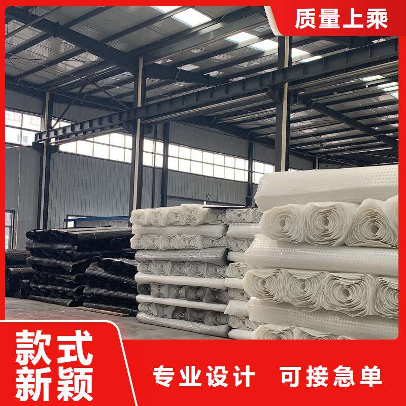 排水板,塑料土工滤网工厂自营
