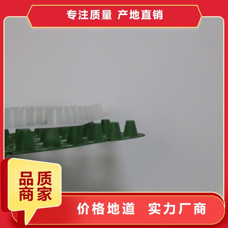 排水板,塑料土工滤网工厂自营