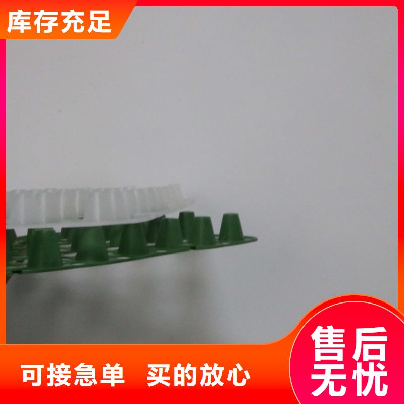 排水板,塑料土工滤网工厂自营