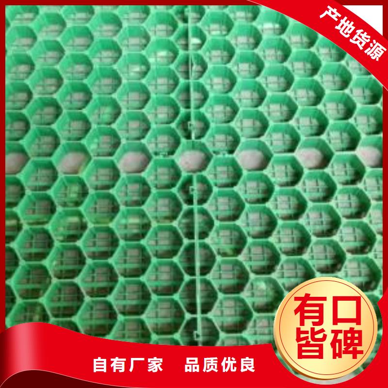 凸结点钢塑土工格栅视频-辽宁省铁岭市恒丰凸结点钢塑土工格栅可服务区域银州|昌图|沈阳|朝阳|丹东|辽阳|葫芦岛|锦州|鞍山等