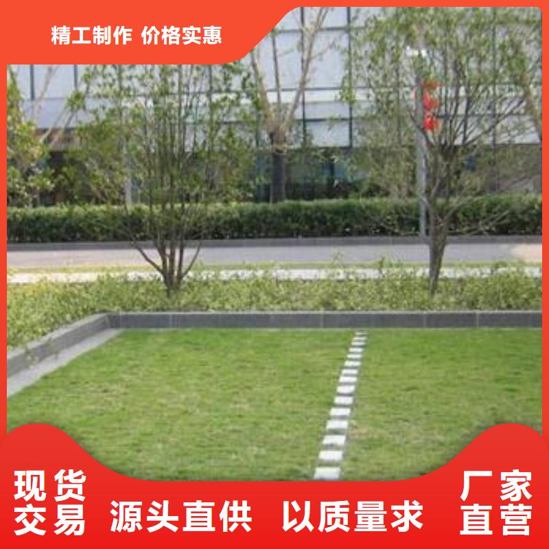 凸结点钢塑土工格栅视频-辽宁省铁岭市恒丰凸结点钢塑土工格栅可服务区域银州|昌图|沈阳|朝阳|丹东|辽阳|葫芦岛|锦州|鞍山等