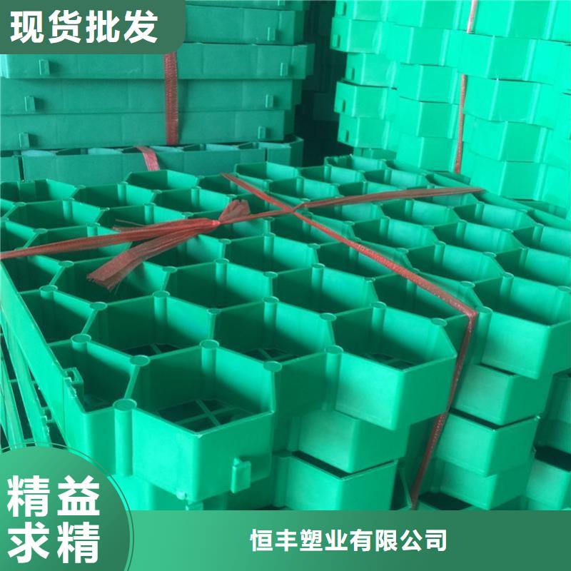 植草格塑料盲沟质检合格出厂