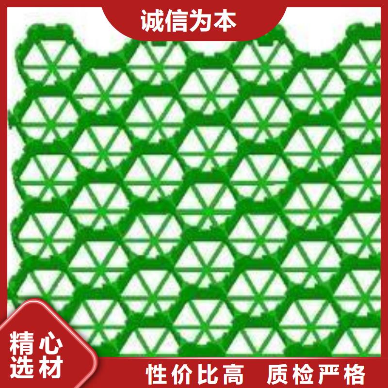 凸结点钢塑土工格栅视频-辽宁省铁岭市恒丰凸结点钢塑土工格栅可服务区域银州|昌图|沈阳|朝阳|丹东|辽阳|葫芦岛|锦州|鞍山等