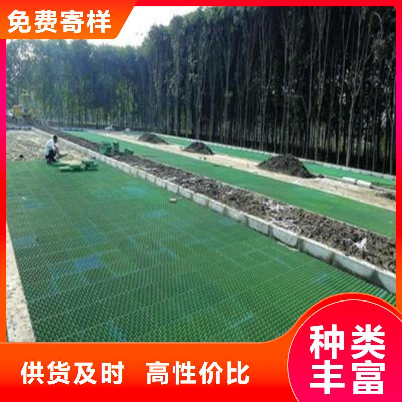 植草格塑料盲沟质检合格出厂