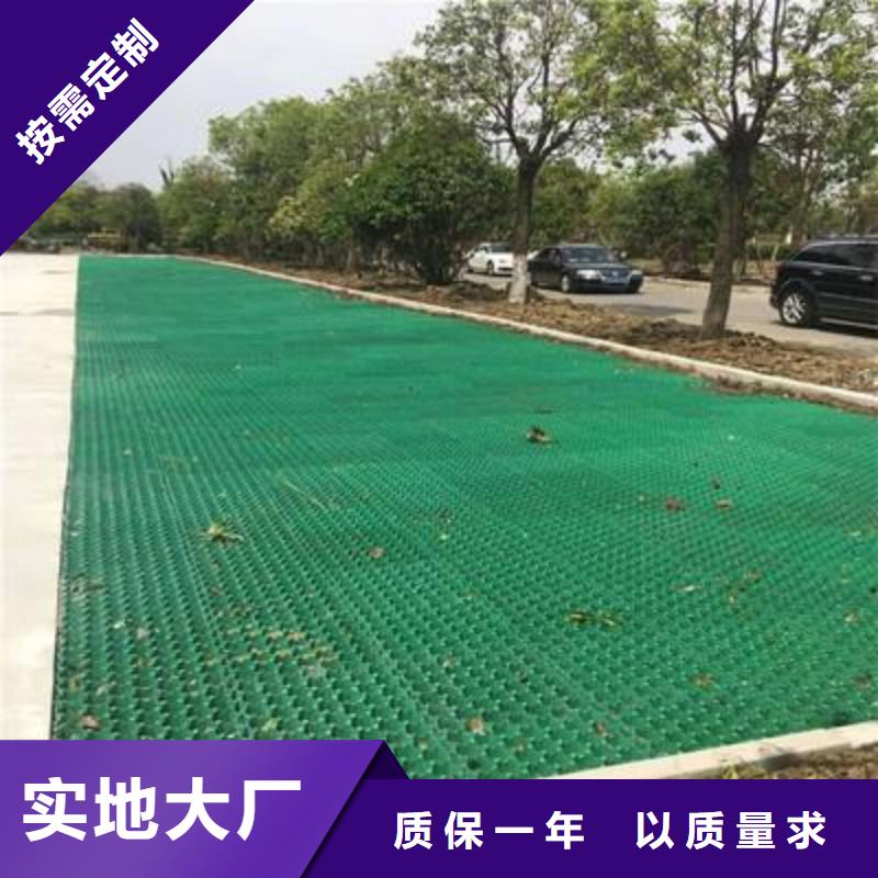 植草格塑料盲沟质检合格出厂
