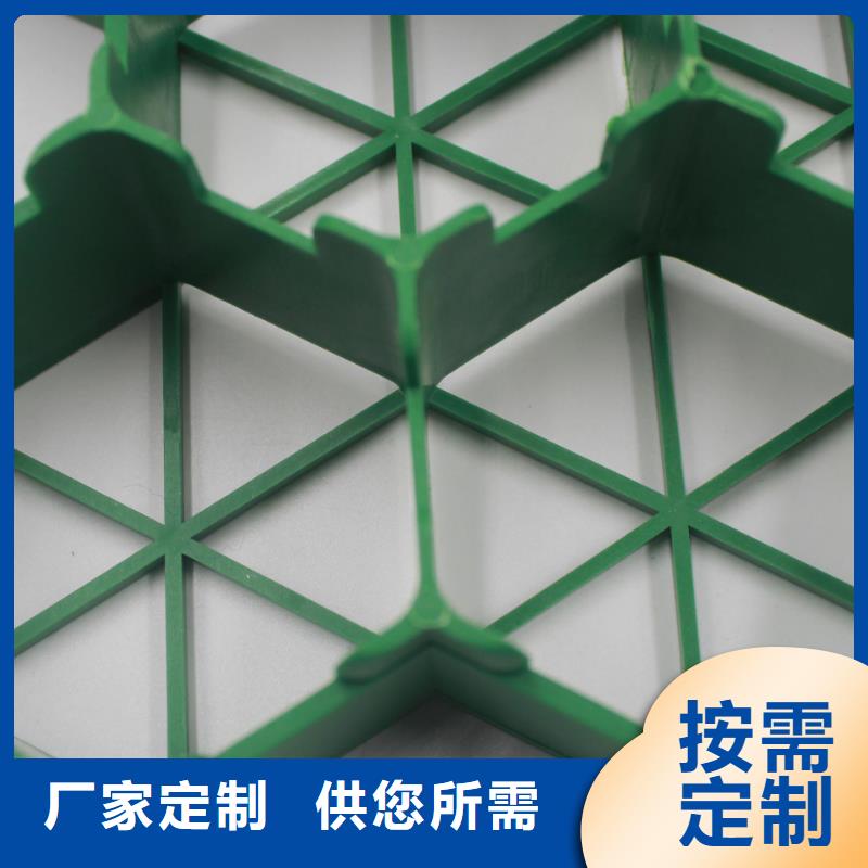 植草格塑料盲沟质检合格出厂