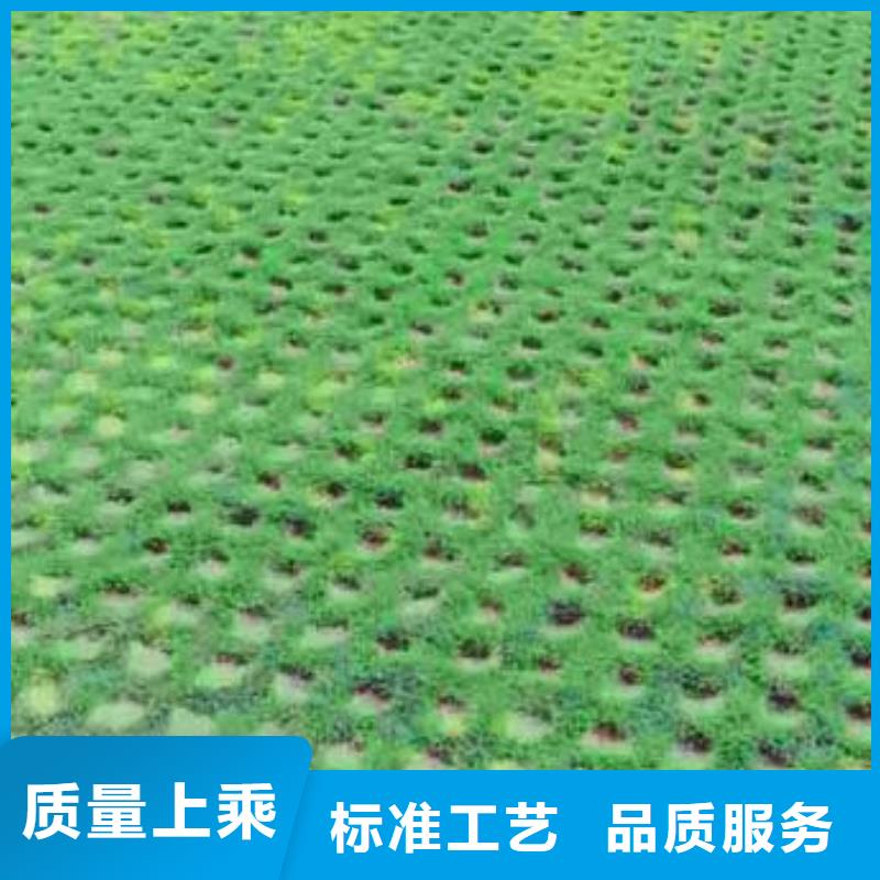植草格塑料盲沟质检合格出厂