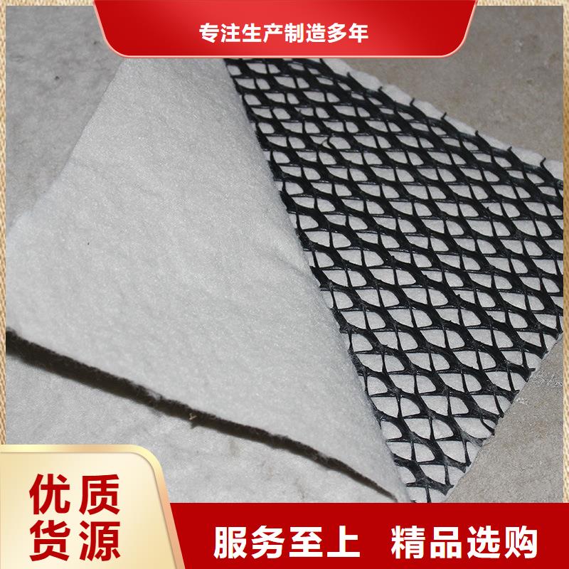 三维复合排水网-HDPE土工膜批发商