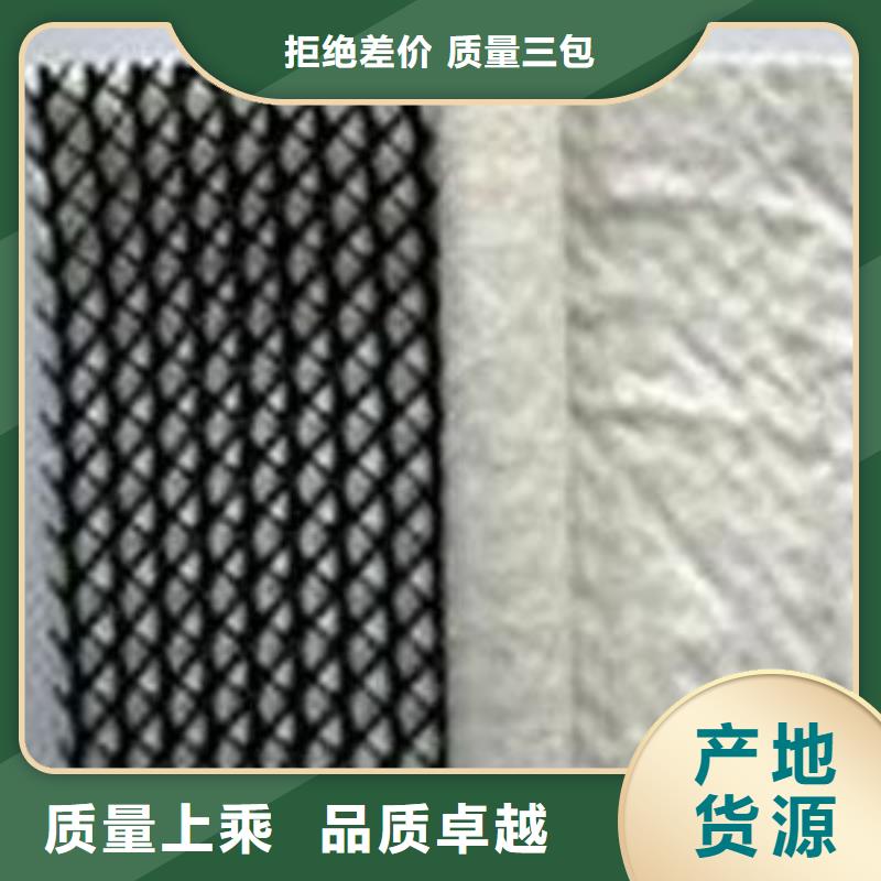 三维复合排水网-HDPE土工膜批发商