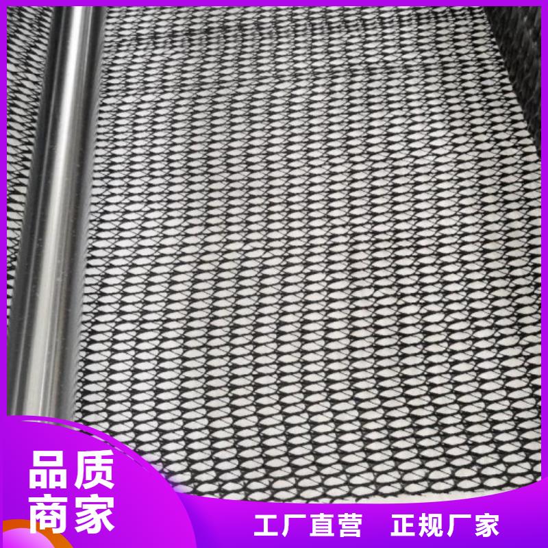 三维复合排水网-HDPE土工膜批发商