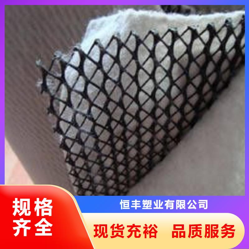 三维复合排水网-HDPE土工膜批发商