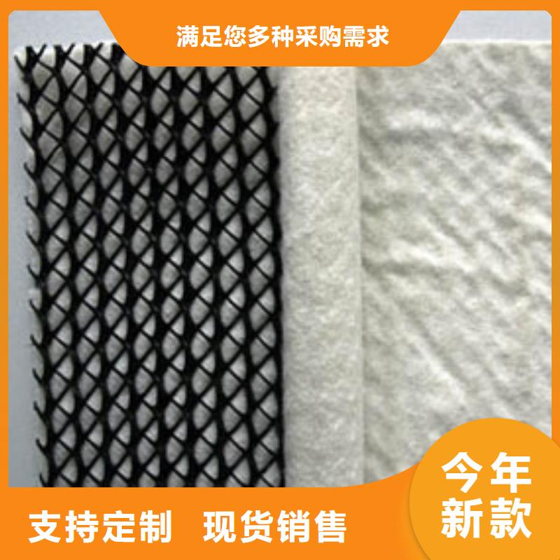 三维复合排水网-HDPE土工膜批发商