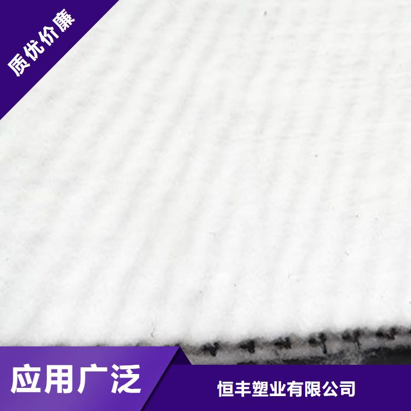 三维复合排水网-HDPE土工膜批发商