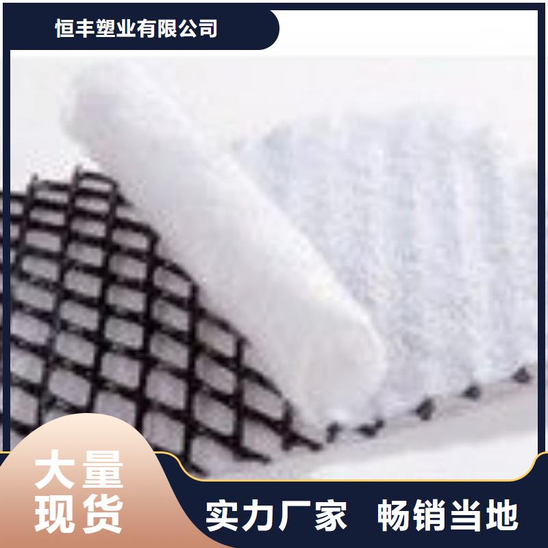 三维复合排水网-HDPE土工膜批发商
