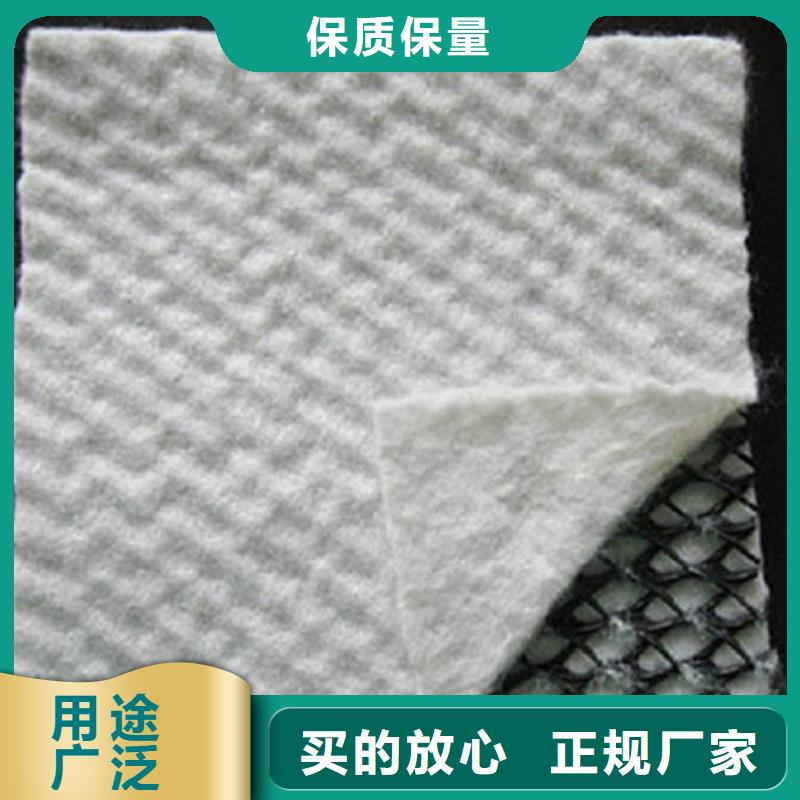 三维复合排水网-HDPE土工膜批发商