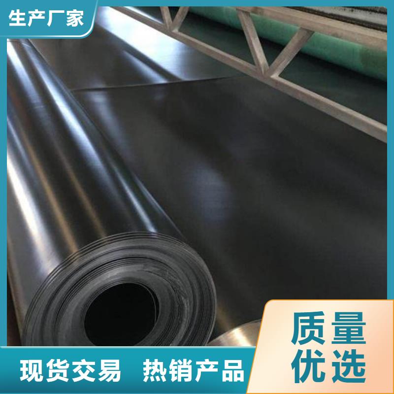 土工膜双向塑料土工格栅厂家货源