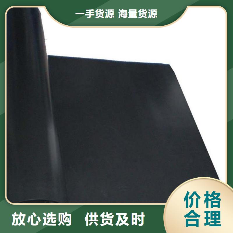 土工膜双向塑料土工格栅厂家货源