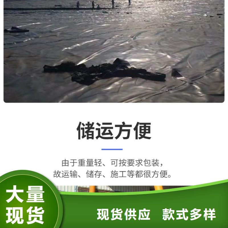 土工膜双向塑料土工格栅厂家货源