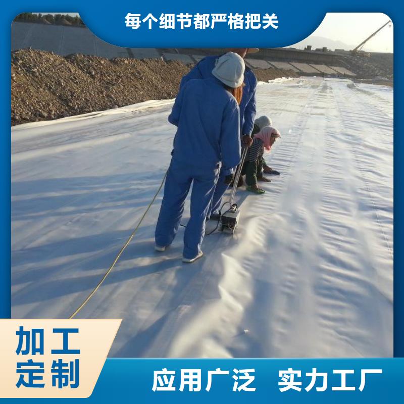 土工膜双向塑料土工格栅厂家货源
