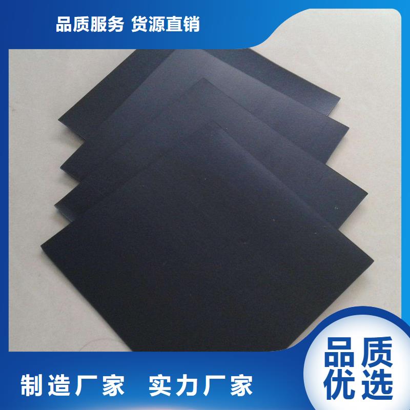 土工膜双向塑料土工格栅厂家货源