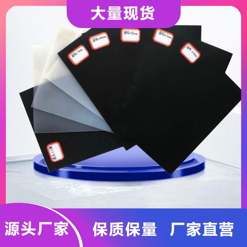土工膜双向塑料土工格栅厂家货源