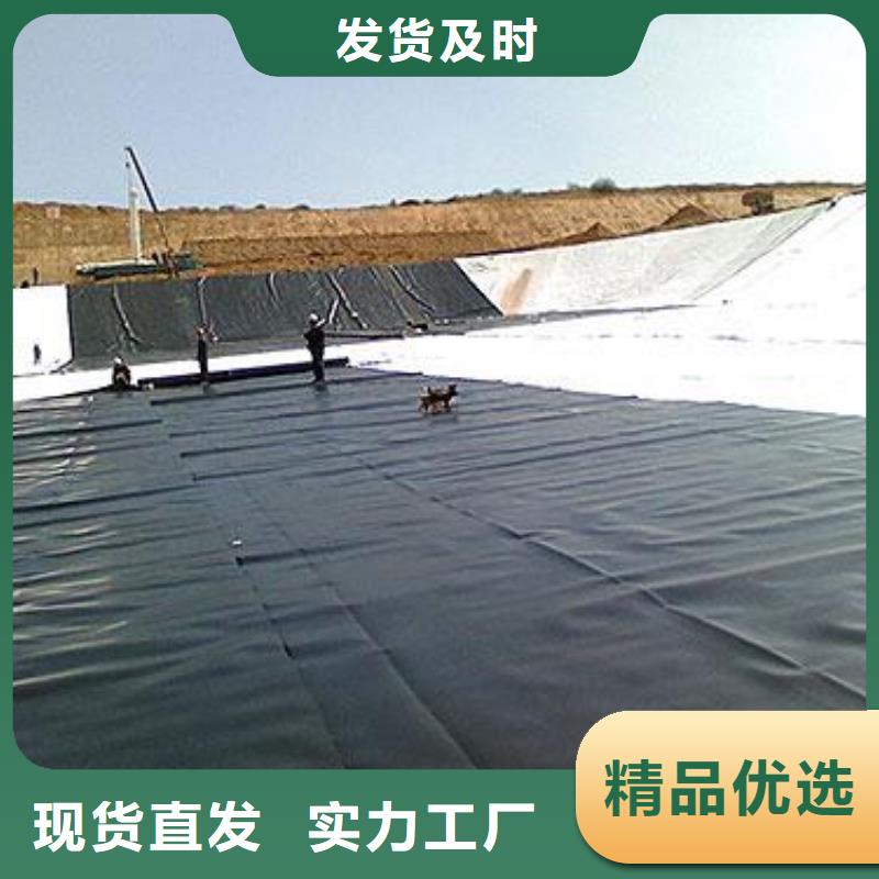 土工膜双向塑料土工格栅厂家货源