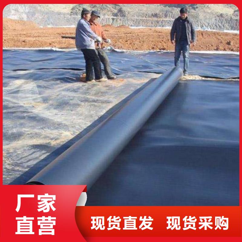 土工膜双向塑料土工格栅厂家货源