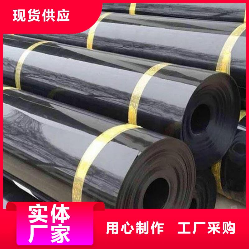 土工膜双向塑料土工格栅厂家货源