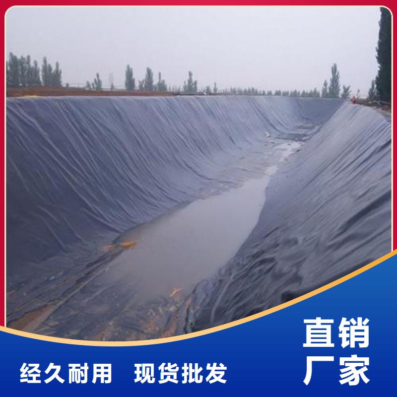 土工膜双向塑料土工格栅厂家货源