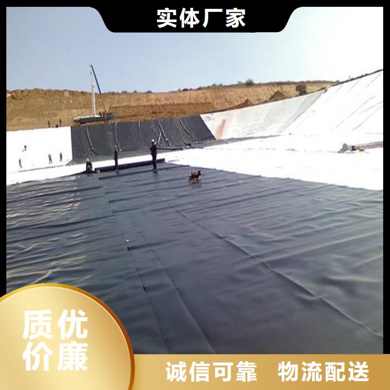 土工膜双向塑料土工格栅厂家货源