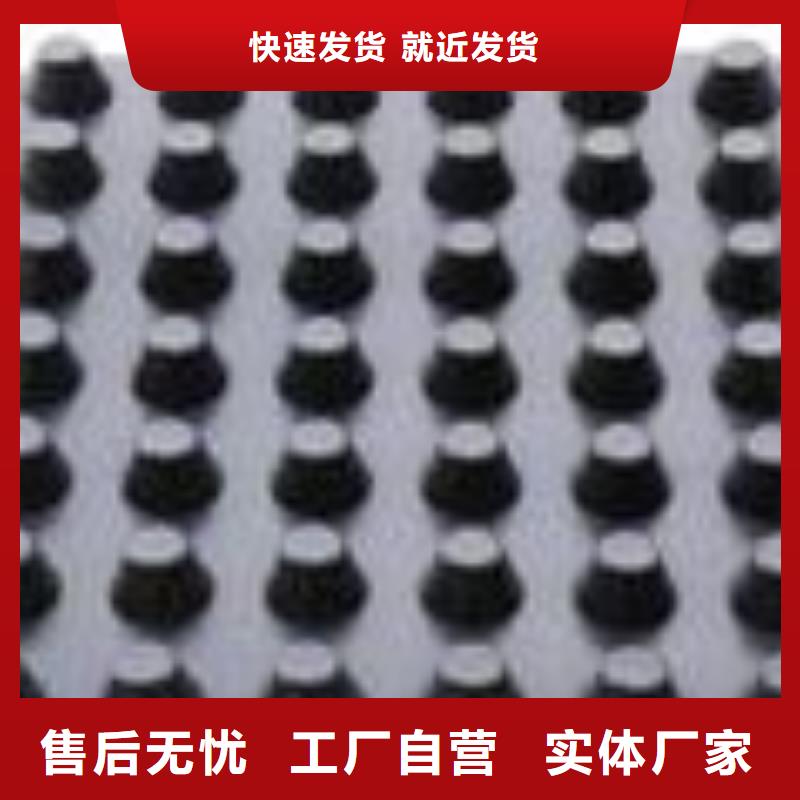 塑料排水板,hdpe士工膜厂家直销大量现货