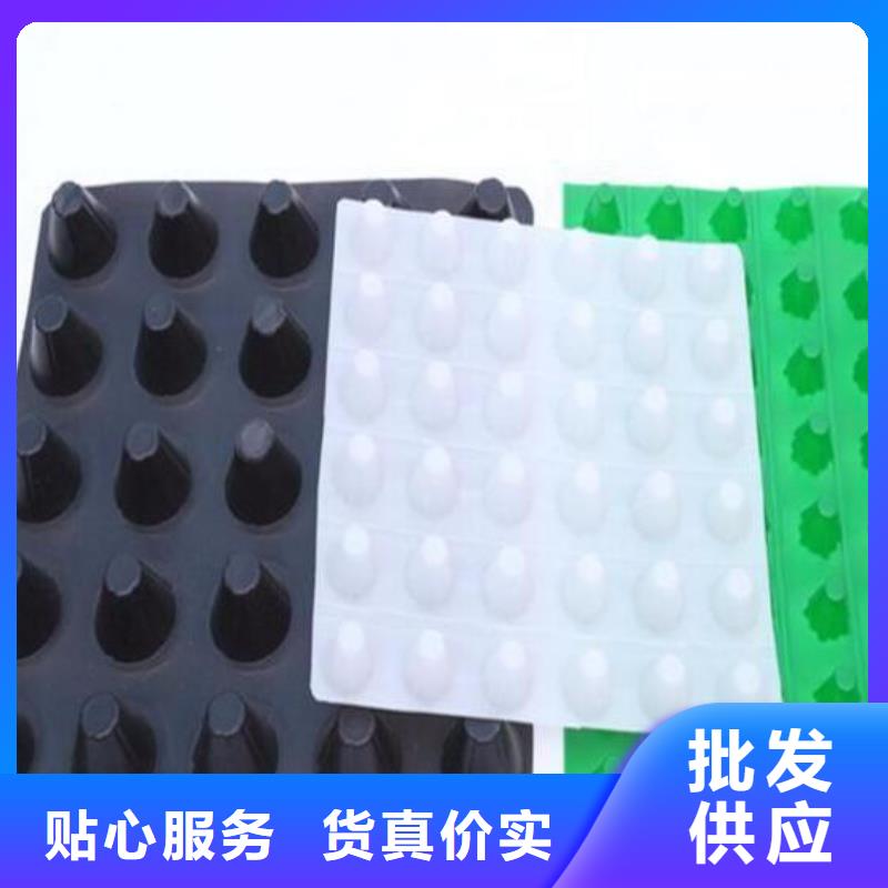 塑料排水板,双向塑料土工格栅定制速度快工期短
