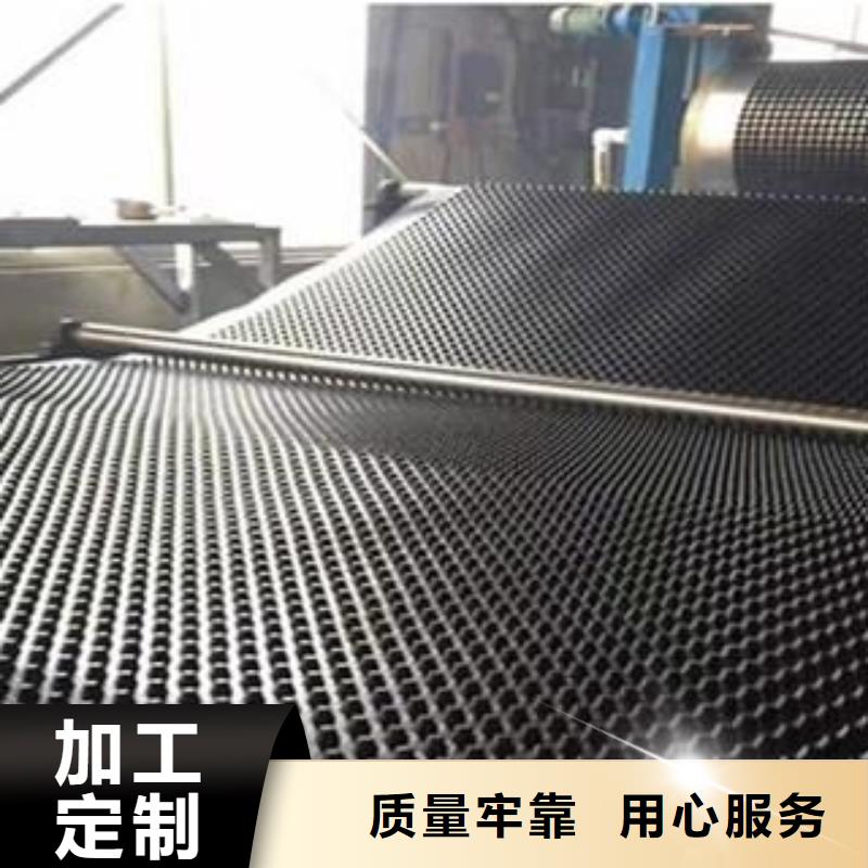 塑料排水板,双向塑料土工格栅定制速度快工期短