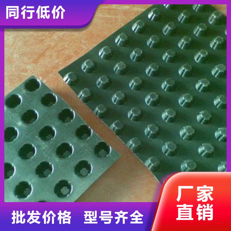 塑料排水板,双向塑料土工格栅定制速度快工期短