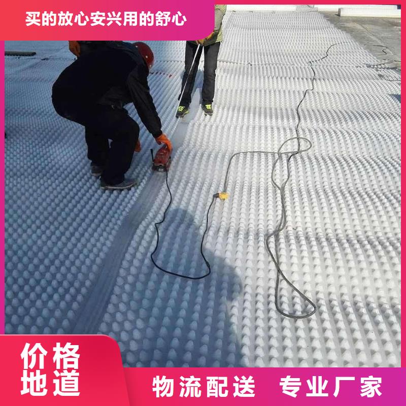 塑料排水板,hdpe士工膜厂家直销大量现货