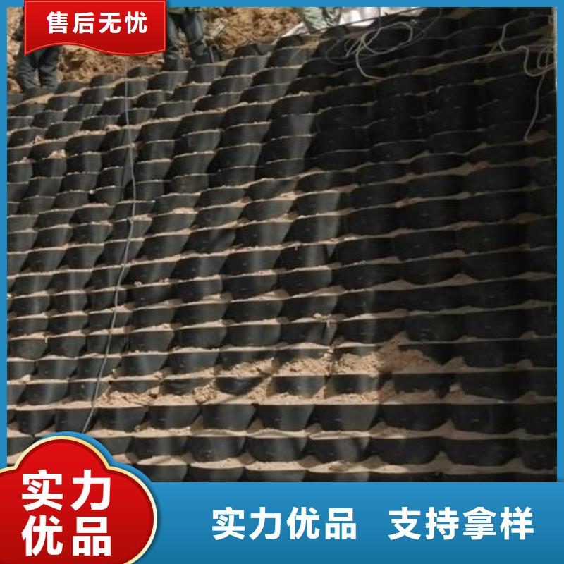 凸结点钢塑土工格栅视频-凸结点钢塑土工格栅|宁德市|福鼎|柘荣|泉州|莆田|漳州|厦门|三明|龙岩|南平