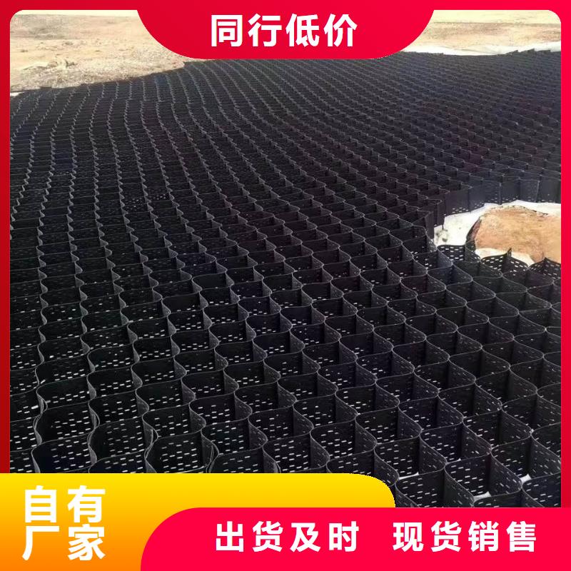 凸结点钢塑土工格栅视频-凸结点钢塑土工格栅|宁德市|福鼎|柘荣|泉州|莆田|漳州|厦门|三明|龙岩|南平