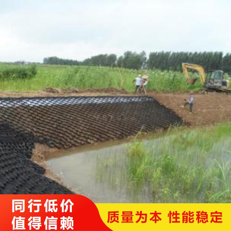 凸结点钢塑土工格栅视频-凸结点钢塑土工格栅|宁德市|福鼎|柘荣|泉州|莆田|漳州|厦门|三明|龙岩|南平