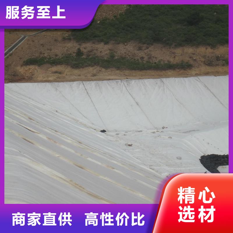 土工布护坡土工网好货直销