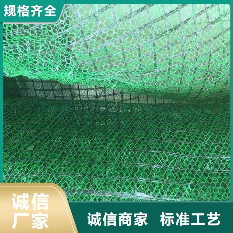 凸结点钢塑土工格栅视频-凸结点钢塑土工格栅|吉林省|吉林|通化|延边|长春|辽源|四平