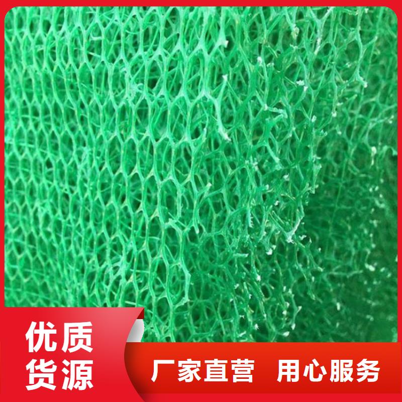 【 三维植被网-单向塑料格栅专业品质】中齐凸结点钢塑土工格栅