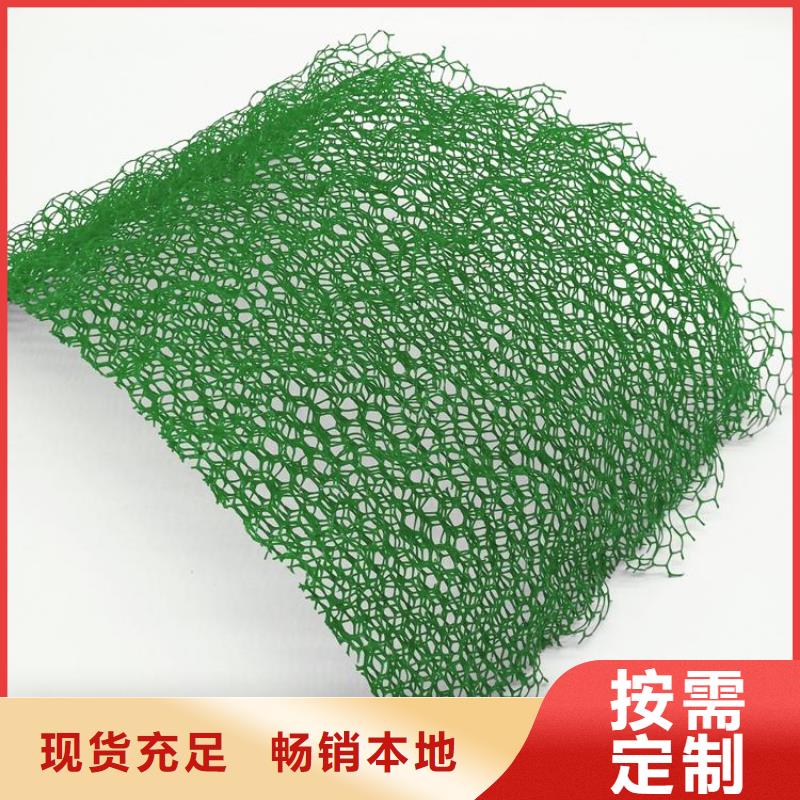 【 三维植被网-单向塑料格栅专业品质】中齐凸结点钢塑土工格栅