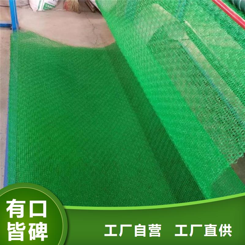 凸结点钢塑土工格栅视频-凸结点钢塑土工格栅|吉林省|吉林|通化|延边|长春|辽源|四平