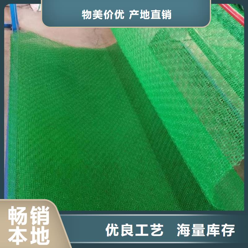三维植被网防尘布厂家大量现货