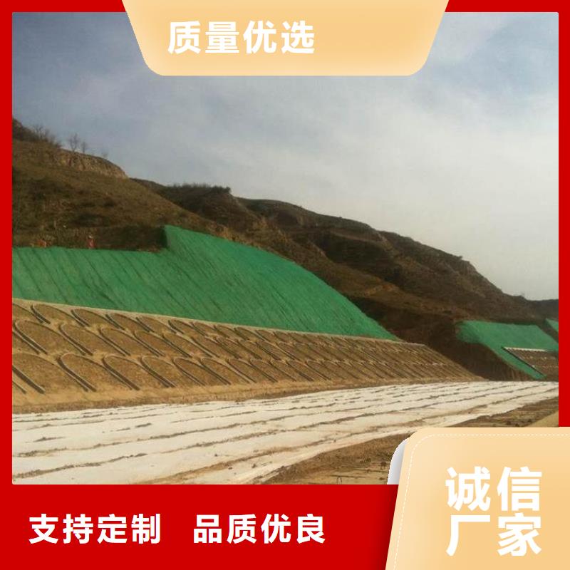 三维植被网防尘布厂家大量现货