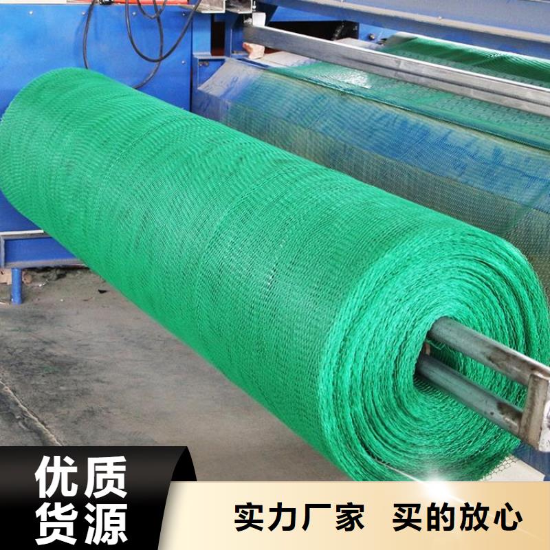 【 三维植被网-单向塑料格栅专业品质】中齐凸结点钢塑土工格栅