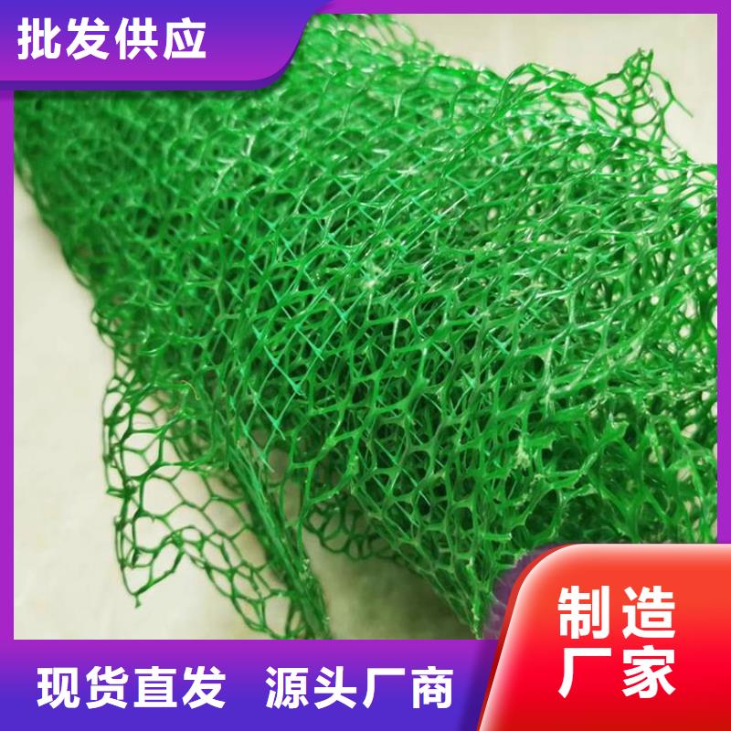 三维植被网防尘布厂家大量现货